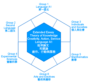 IB课程