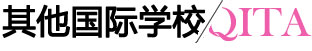 其他国际学校