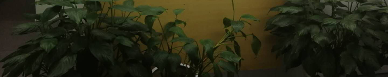 学校简介