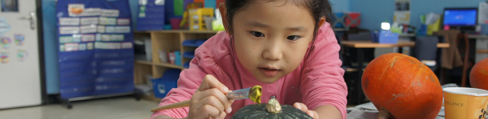 沈阳远见国际学校（沈阳远见私立学校）