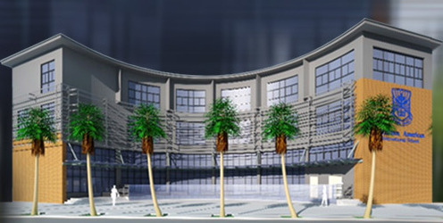 深圳深美国际学校